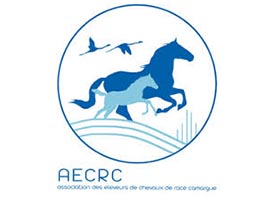 AECRC - Association des éleveurs de chevaux de race camargue Elevage des Terres du Nord sinsin