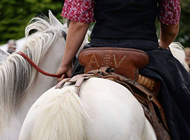 equitation maniabilité Marche-en-Famenne